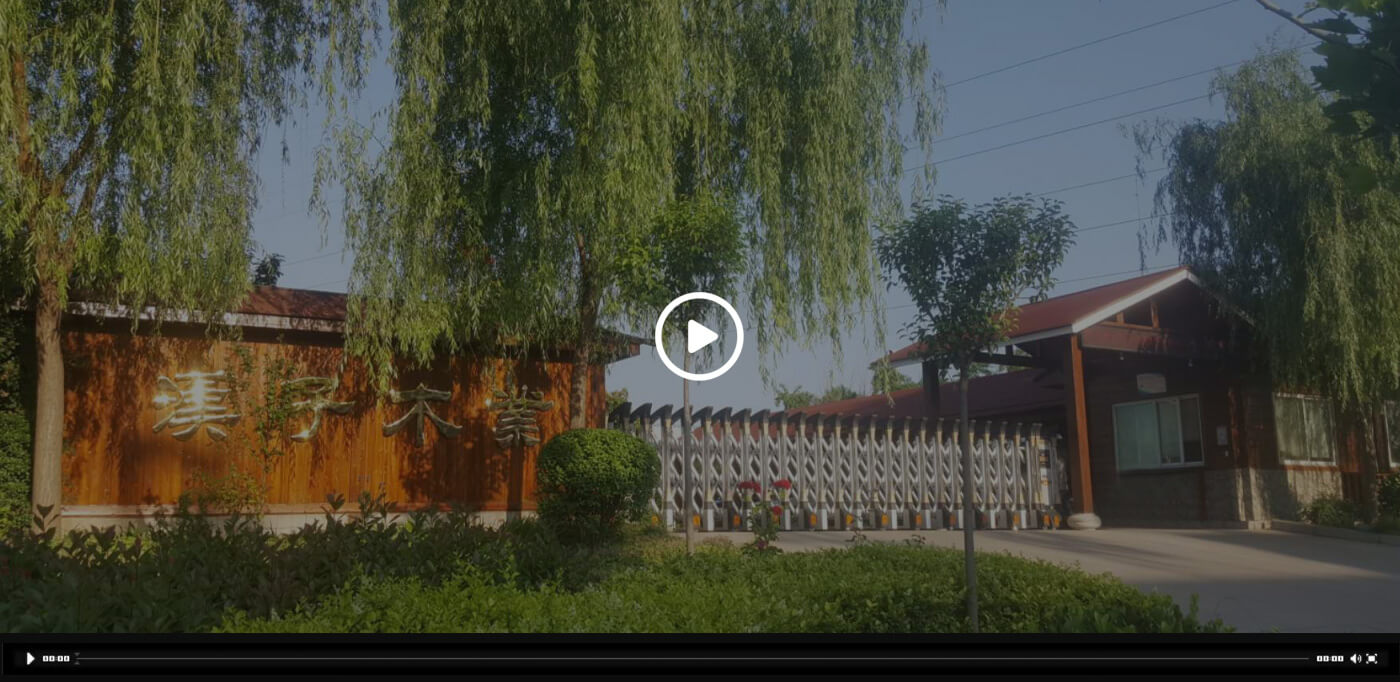 乐动网页版登录入口